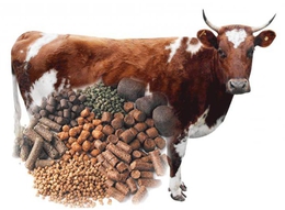 БВМК для сухостойных коров 10% (25 кг)