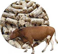 БВМК для высокопродуктивных коров экструдированный (25 кг)